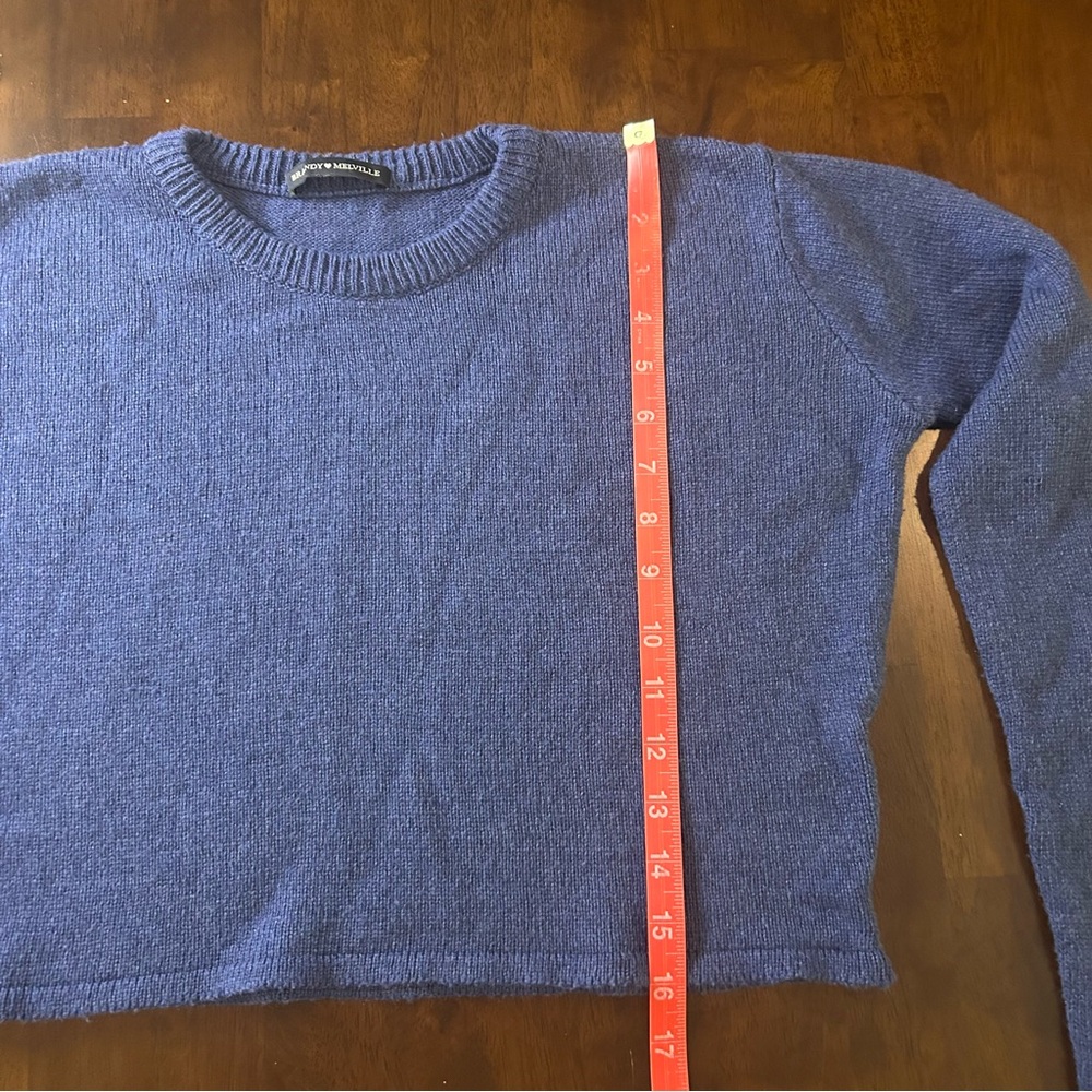 brandy melville blue cropped Francesca sweater in a wool blend - Picture 13 of 16